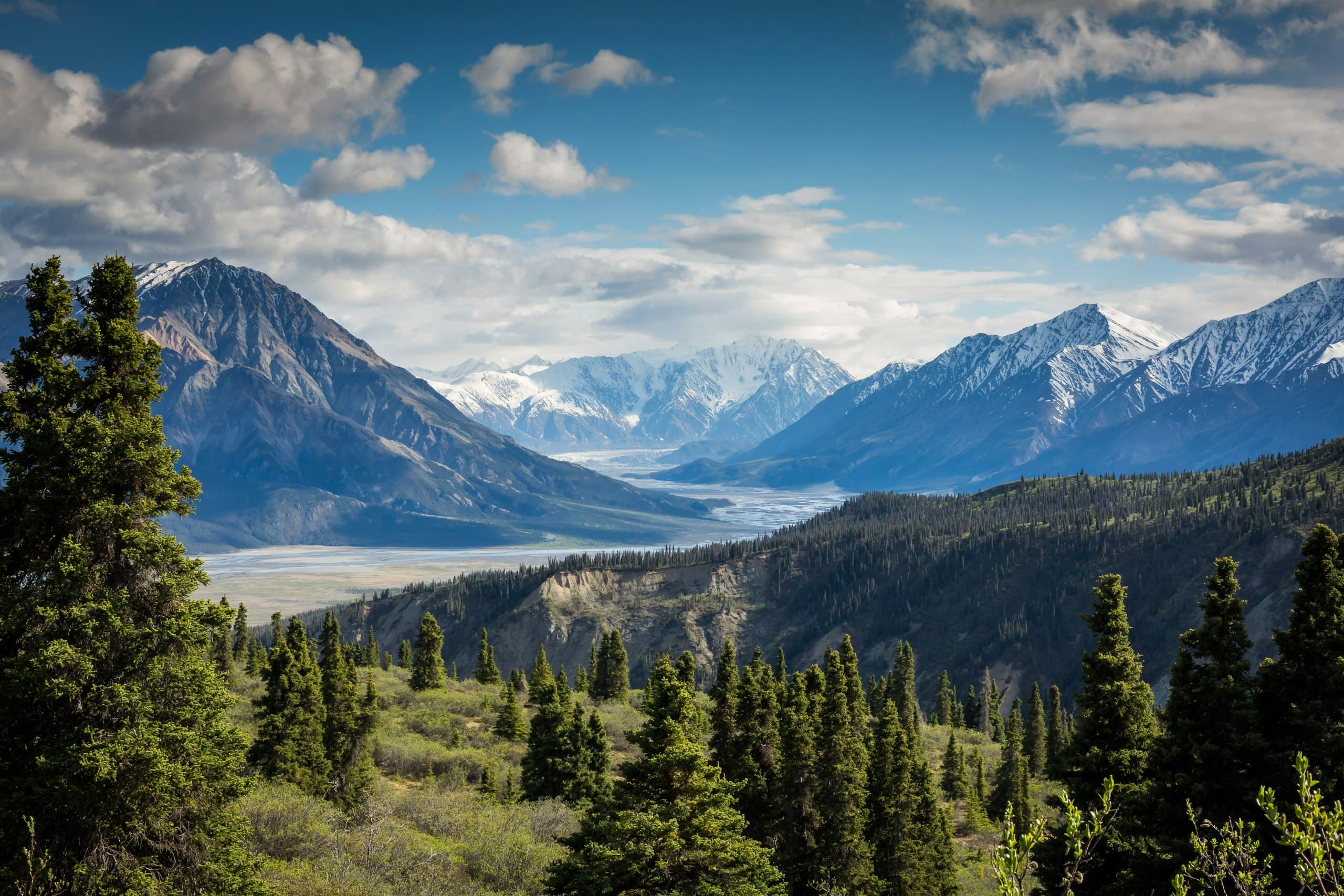 A green spruce valley beneath snow-capped peaks in morning light